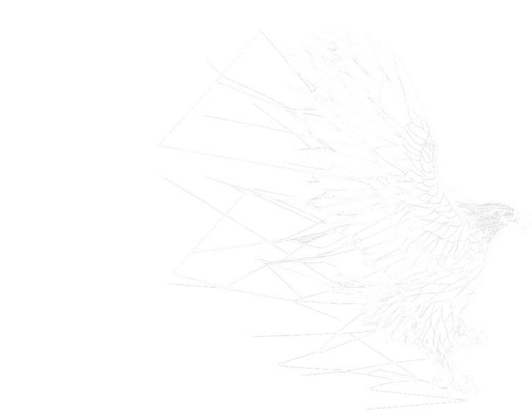 image orzel 768x597 (2)